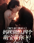 偷生宝宝前妻别玩了全文免费下载