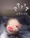 朱恒锐是男的还是女的