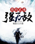 我的武魂是无限