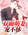 双面萌妻宠不休全文