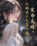 宣布离婚疯批凌少长跪不起大结局