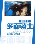 网游之多面骑士