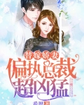 替嫁娇妻：偏执总裁超凶猛