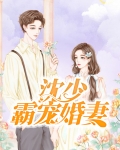 沈少宠妻如命小说免费阅读