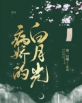 病娇的白月光百度网盘