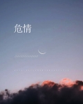 危情营救高清电影版