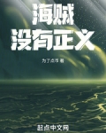 海贼：没有正义