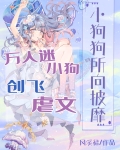 万人迷小说