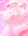 恃宠入婚万丽塔