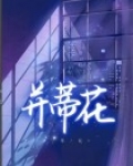 并蒂花星星小说