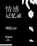 记忆情感语录