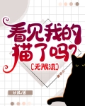 看见我的猫了吗?[无限流]全文免费阅读