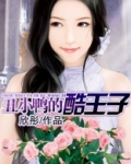 丑小鸭王子 风绪