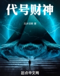 代号财神小说