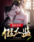 小说 混在皇宫假太监