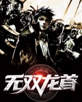 无双龙主小说