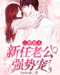 二婚撩人：新任老公强势宠