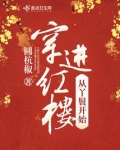 红楼发家致富史