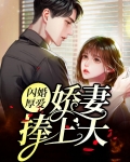 闪婚厚爱总裁娇妻惹不起全文阅读