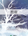 酌鹿讲的是什么