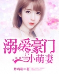 溺爱豪门小萌妻 小说免费阅读