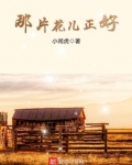 那片花儿歌