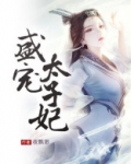 盛宠太子妃瑾瑜全文免费阅读