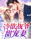 冷欲战爷甜宠妻全文阅读