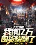 天灾末世囤货小说