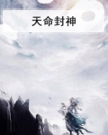 天命封神时装多少钱