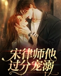 宋律师很甜很撩人免费