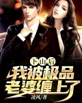下山后我被京城大佬