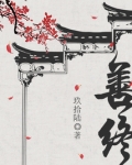善终小说