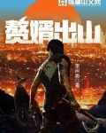 赘婿出山小说