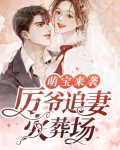 萌宝来袭总裁夫人别想逃免费观看