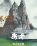 衡华小说