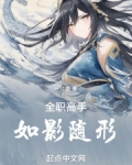全职高手如影随形小说