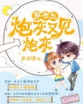 穿书之炮灰又见炮灰