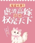 宠妾虐妻小说