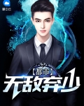 都市无敌弃少陨落星辰TXT下载
