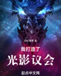 我打造了光影议会免费阅读