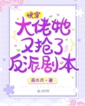快穿：大佬她又抢了反派剧本