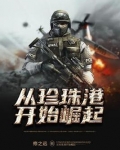 从珍珠港开始崛起 小说