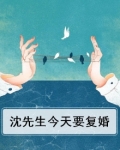 沈先生今天要复婚
