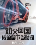 劝父回国,被迫留下当财阀小说