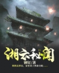 湘云秘闻小说简介
