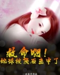 地球被陨石砸过多少次