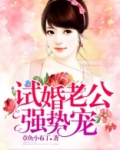 试婚老公,要给力全文免费阅读