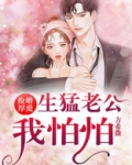 抢婚厚爱腹黑老公我怕怕