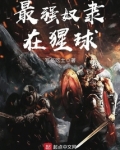 最强英雄奴隶攻略